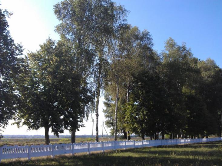 Великі Крушлинці з panoramio.com - Великі Крушлинці