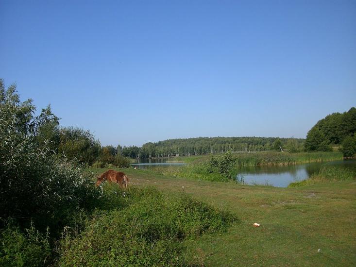 Марочкине з panoramio.com - Марочкино