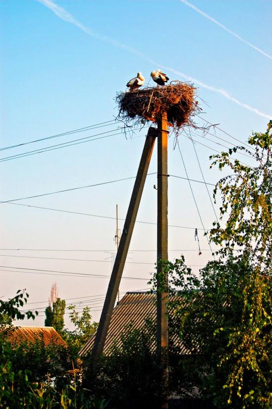 Гупалівка з panoramio.com - Гупаловка