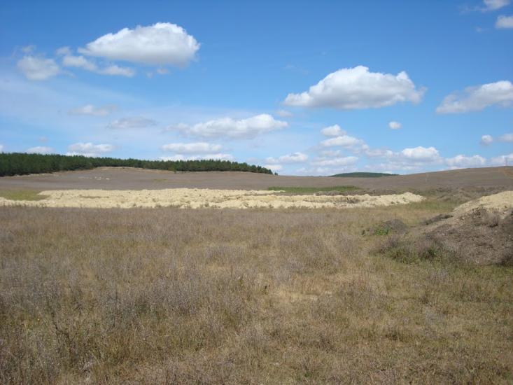 Строгонівка з panoramio.com - Строгонівка