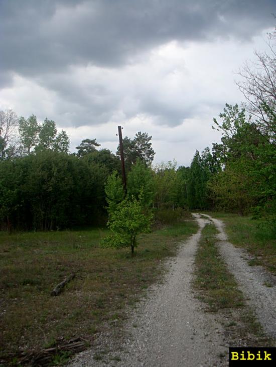 Губин з panoramio.com - Губин