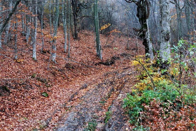 Поворотне з panoramio.com - Поворотное