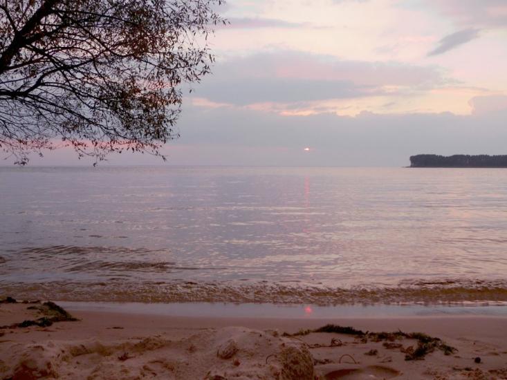 Ровжі з panoramio.com - Ровжи
