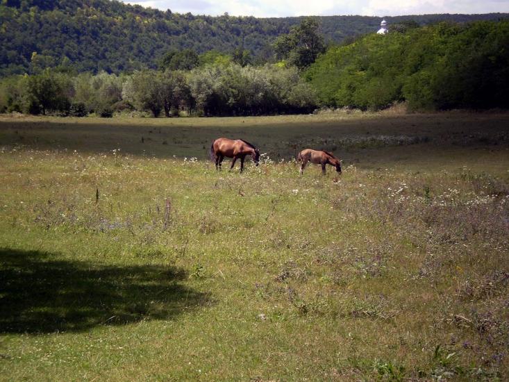 Василів з panoramio.com - Василів