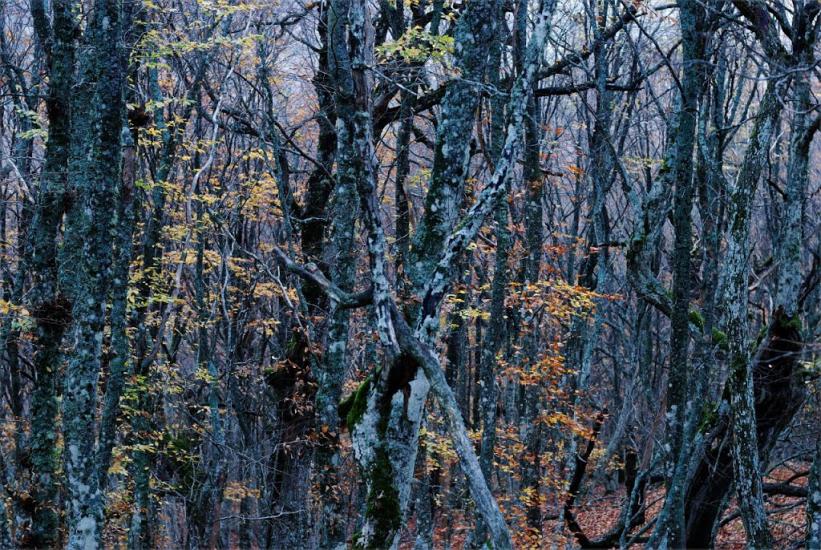 Громівка з panoramio.com - Громівка