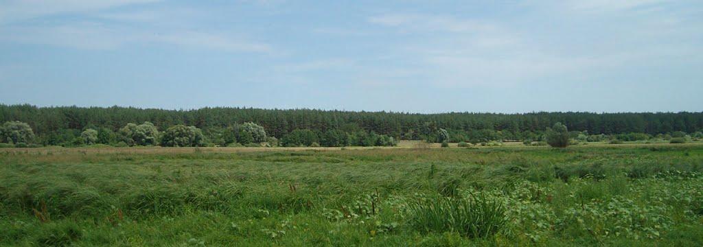 Нижній Бишкин з panoramio.com - Нижній Бишкин