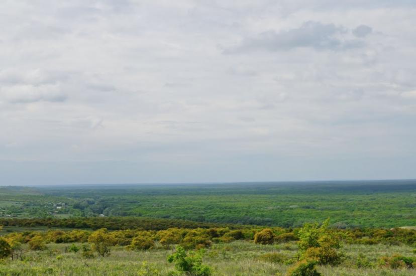 Білогорівка з panoramio.com - Белогоровка