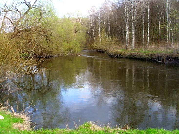Кринцілів з panoramio.com - Кринцілів