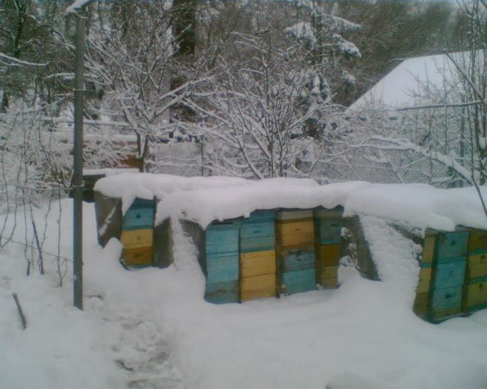 Нижньогірський з panoramio.com - Нижньогірський