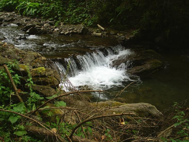 Кваси з panoramio.com - Квасы