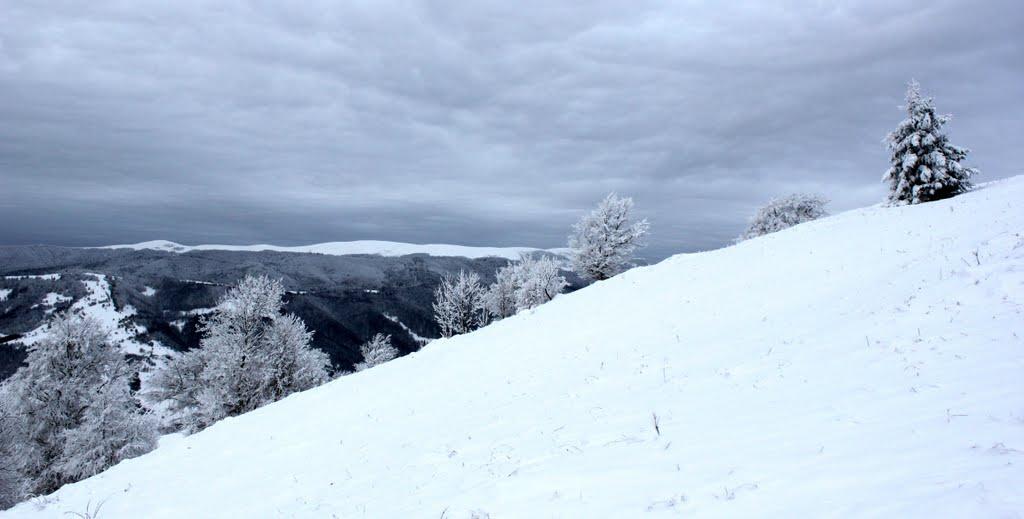 Кваси з panoramio.com - Квасы