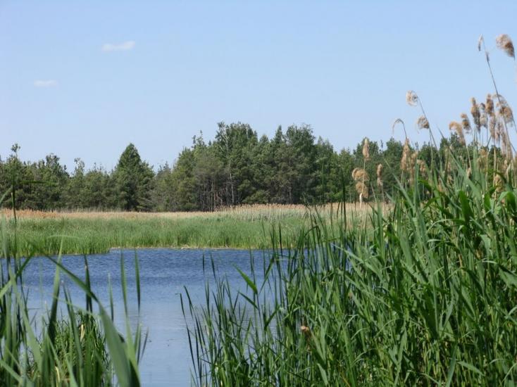 Ліпляве з panoramio.com - Лепляво