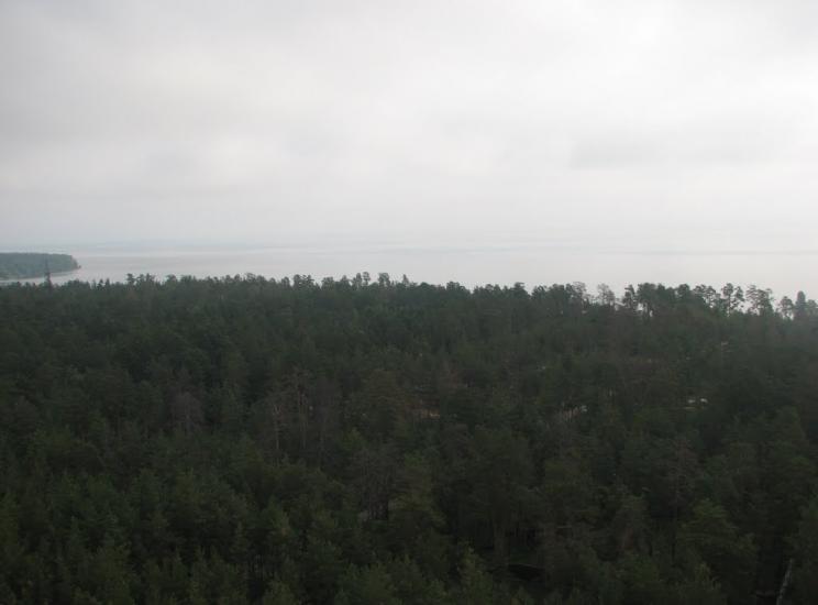 Глібівка з panoramio.com - Глебовка