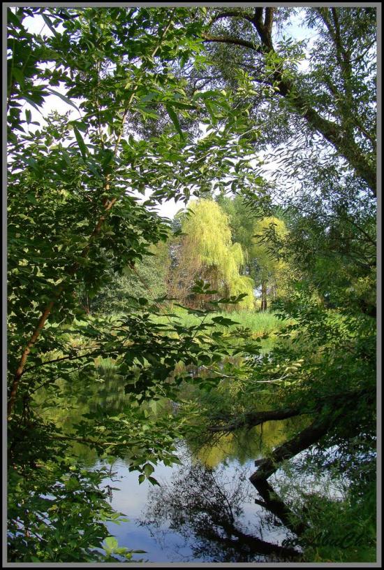 Городище з panoramio.com - Городище