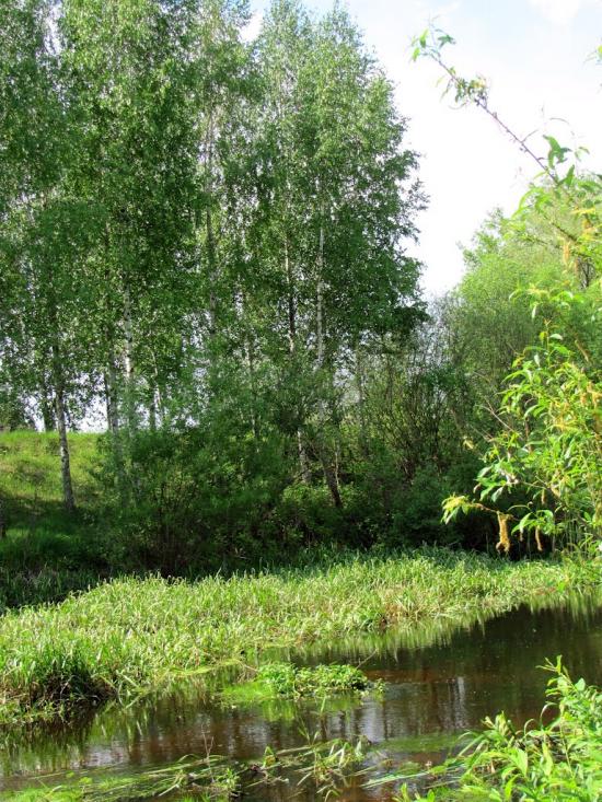 Сарни з panoramio.com - Сарни