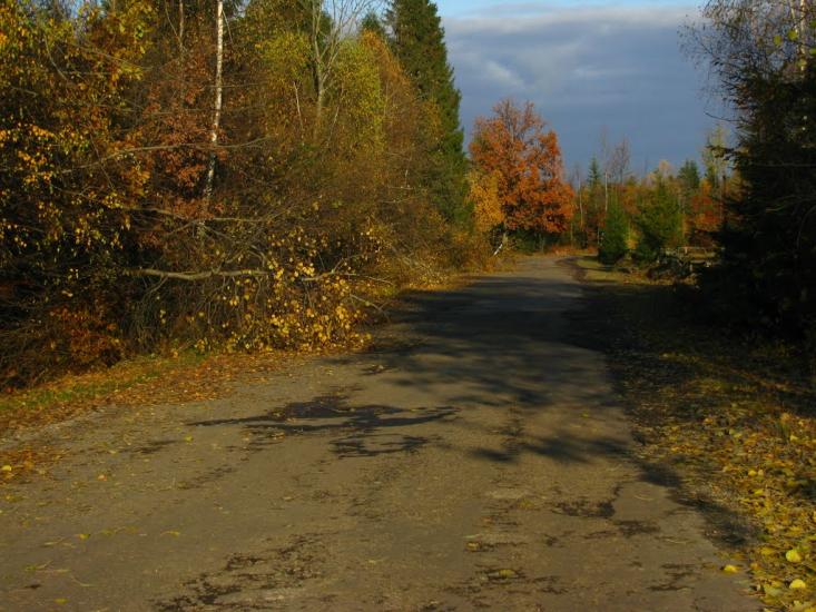 Міжгір'я з panoramio.com - Міжгір'я