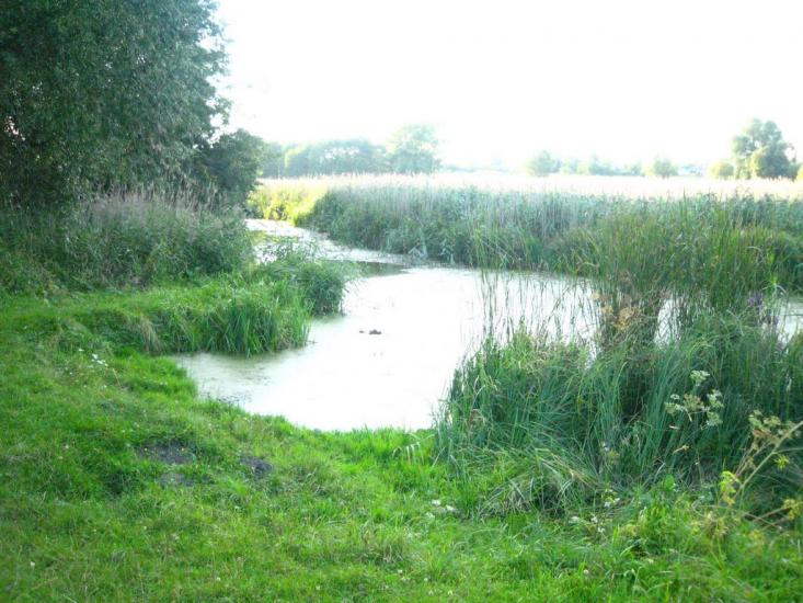 Кожанка з panoramio.com - Кожанка