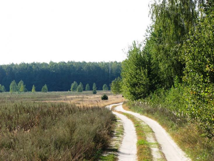 Малійки з panoramio.com - Малейки