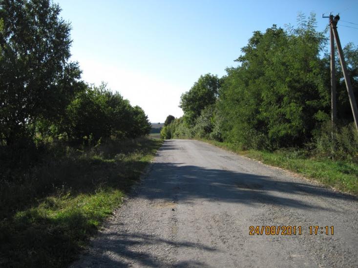 Галузинці з panoramio.com - Галузинцы