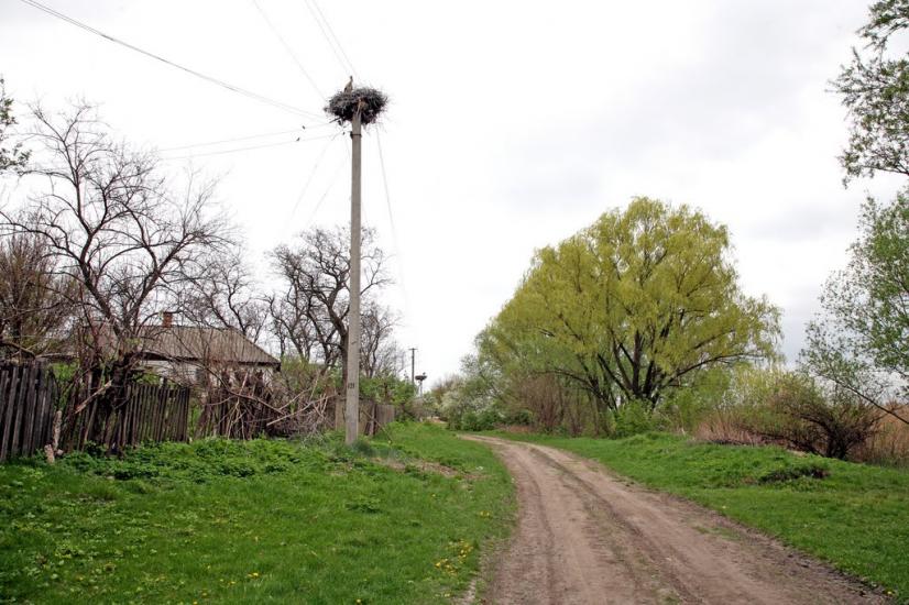 Андріївка з panoramio.com - Андріївка