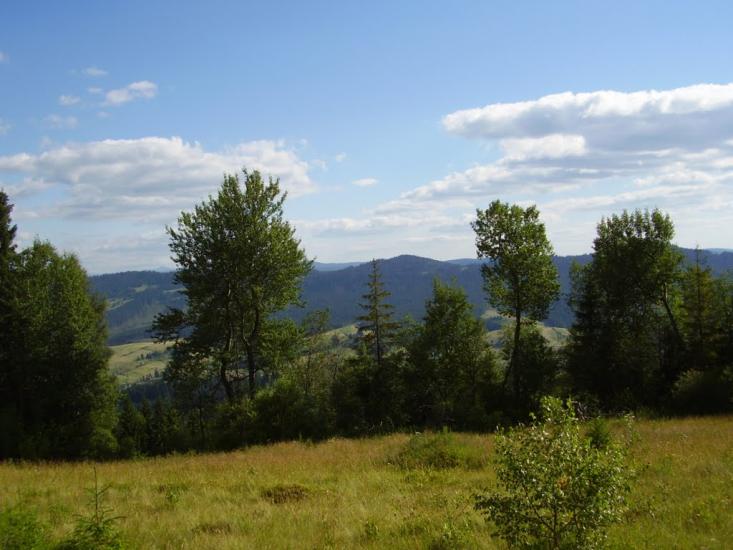 Орява з panoramio.com - Орява