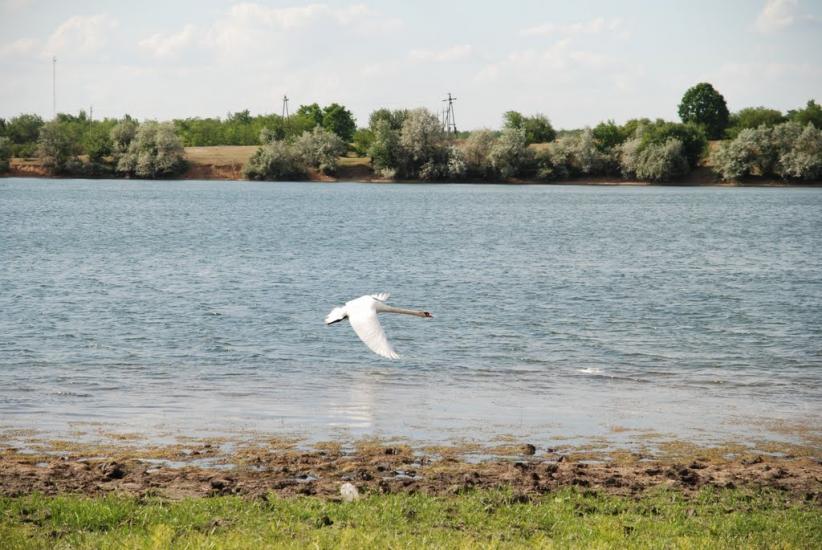Лошкарівка з panoramio.com - Лошкаровка