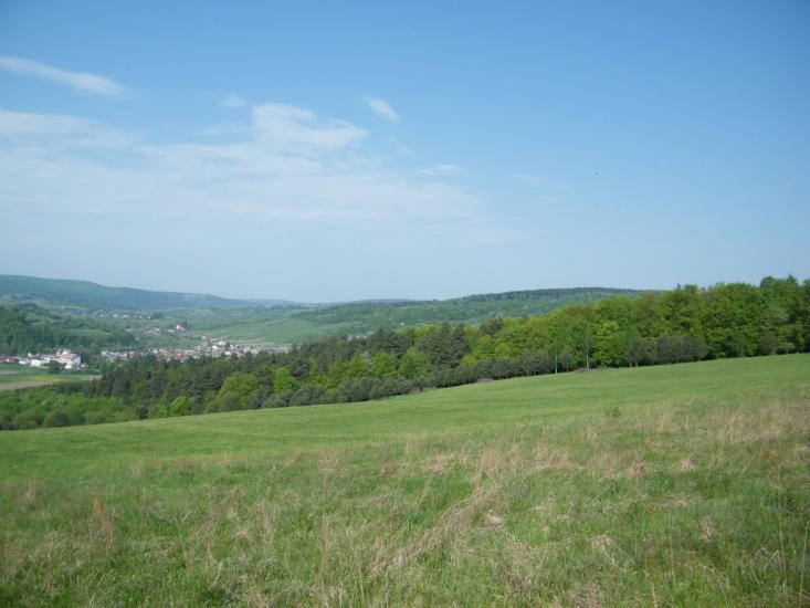 Трушевичі з panoramio.com - Trushevychi