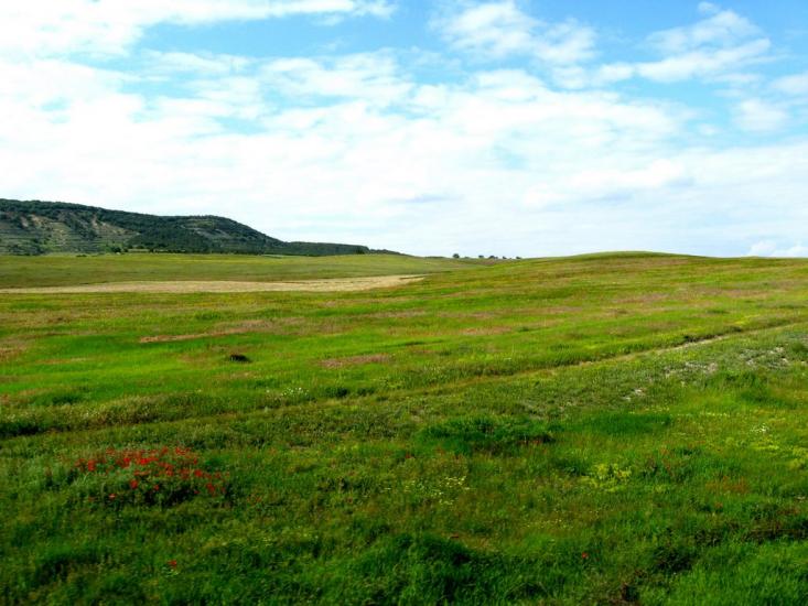 Холмівка з panoramio.com - Холмовка