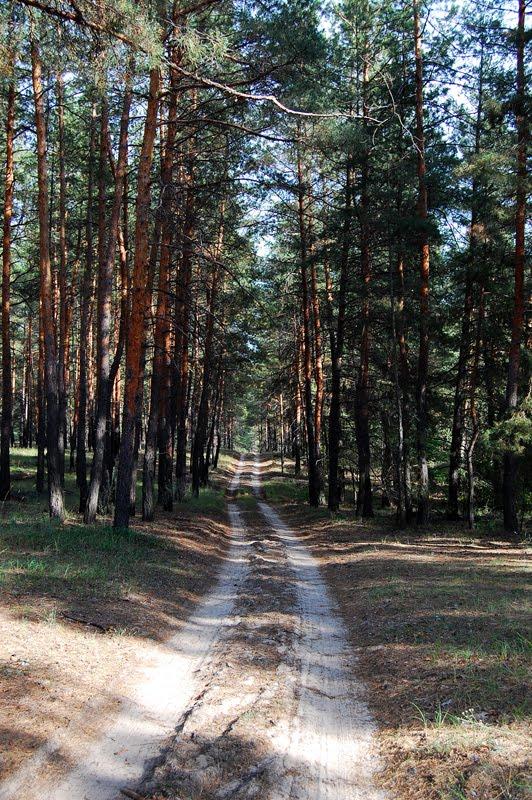 Левківка з panoramio.com - Левковка