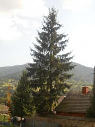 Верхній Бистрий