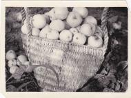 Історія  села