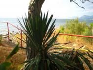 Краски осени Семидворья