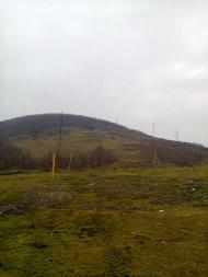 стежини юних літ моїх