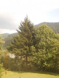 Верхній Бистрий