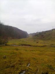 стежини юних літ моїх