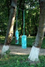 Маєток Прушинських