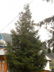 Верхній Бистрий