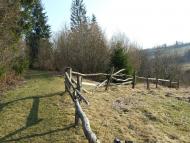 Верхнячка навесні