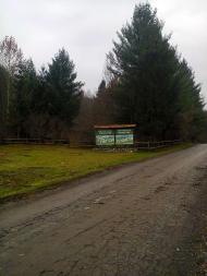 стежини юних літ моїх