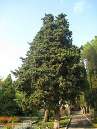 Краски осени Семидворья