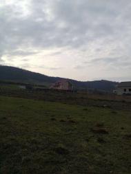 стежини юних літ моїх