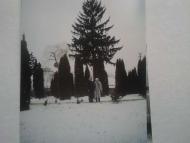 село Рахнівка