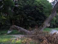 Маєток Прушинських