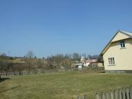 Верхнячка навесні