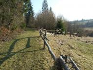 Верхнячка навесні