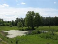 Дорогие сердцу места