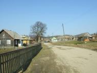 Верхнячка навесні