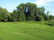 Маєток Прушинських