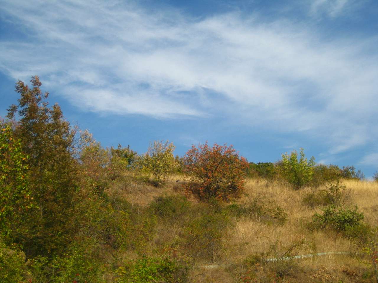 Краски осени Семидворья - Семидвір'я