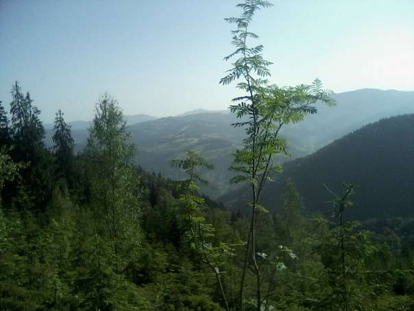 Верхній Бистрий - Верхній Бистрий